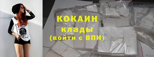 гидра Алексин