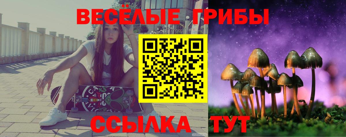 Псилоцибиновые грибы GOLDEN TEACHER  Вход с VPN  Краснокамск 